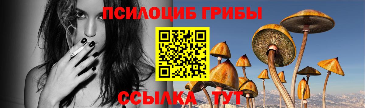 Галлюциногенные грибы Psilocybe Каспийск